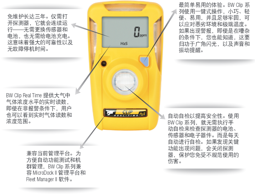 BW单一气体检测仪