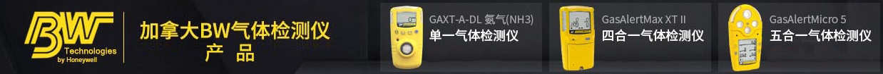 BW气体检测仪